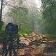 Fotokamera blickt in den Wald